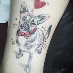 Собака с красным сердцем на голени