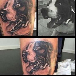 Портрет собаки в память на голени