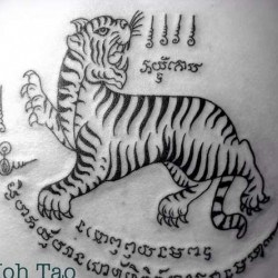 Ивритская татуировка тигра 