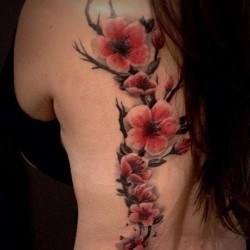 Нежные цветки сакуры на спине
