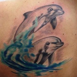Два дельфина с волнами на лопатке