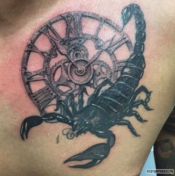 Фотография татуировки под названием «Скорпион с часами»
