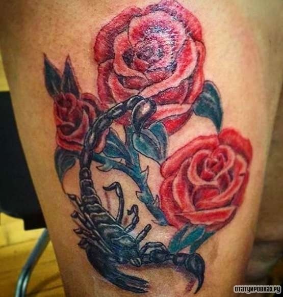 Фотография татуировки под названием «Скорпион и три розы»