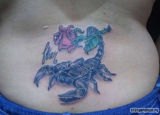 Фотография татуировки под названием «Скорпион с розой и надписью»