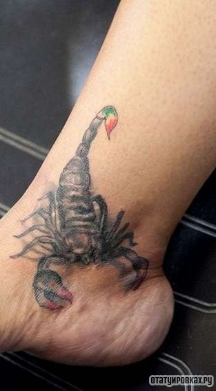 Фотография татуировки под названием «Скорпион с красным жалом»