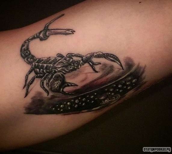 Фотография татуировки под названием «Скорпион с жалом»
