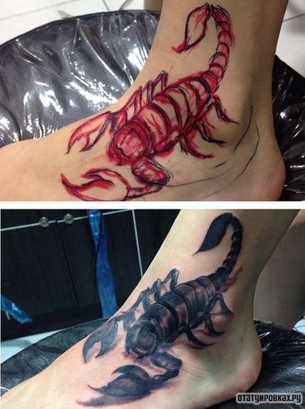 Фотография татуировки под названием «Скорпион с тенями»
