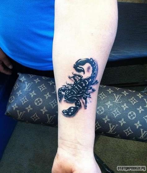 Фотография татуировки под названием «Скорпион черный»