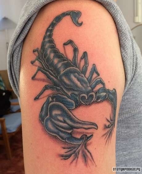 Фотография татуировки под названием «Скорпион цепляет кожу»
