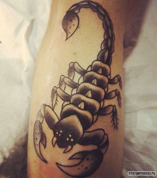 Фотография татуировки под названием «Скорпион с точками»
