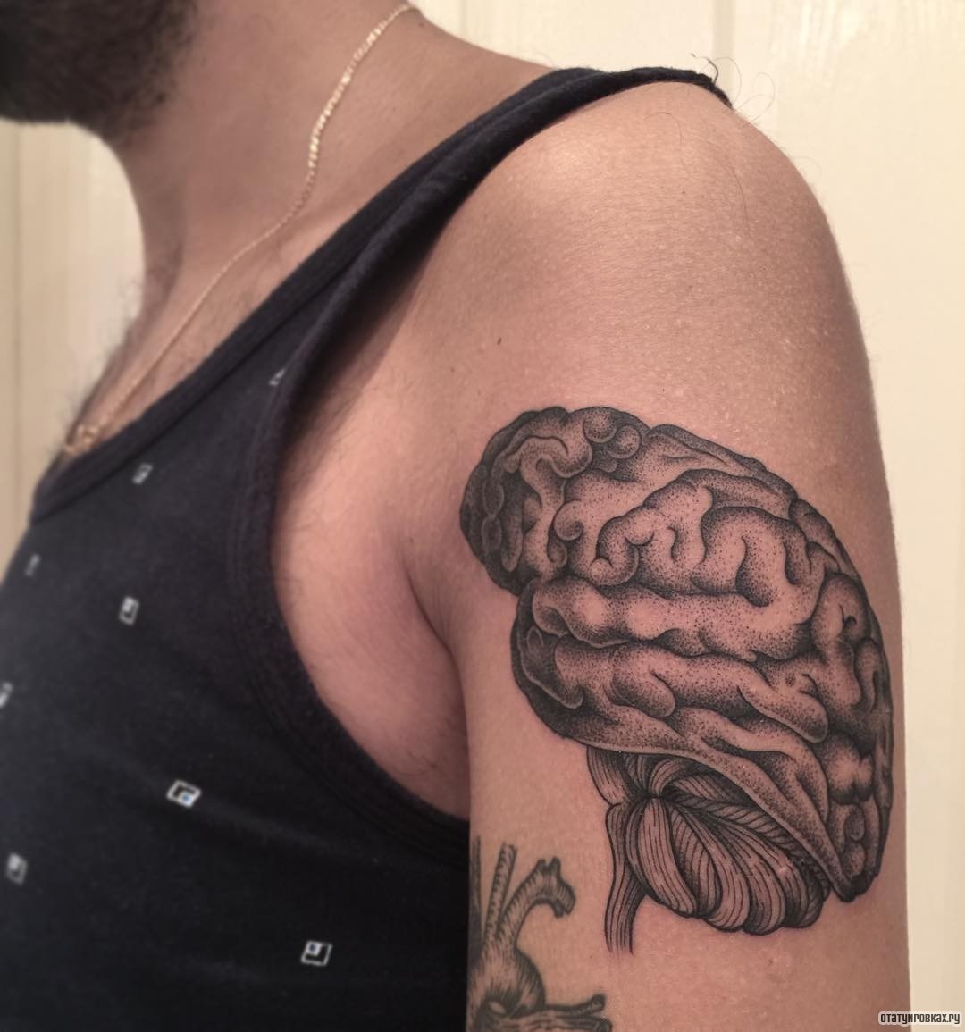 Фотография татуировки под названием «Человеческий мозг»