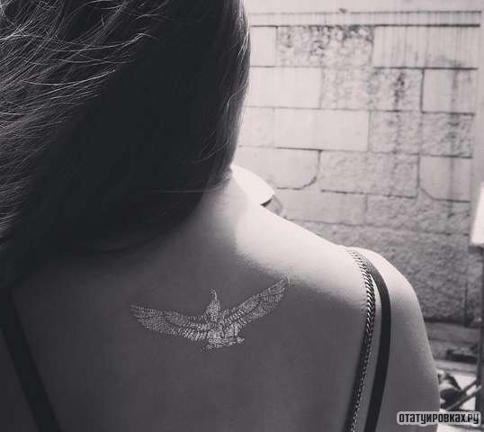 Фотография татуировки под названием «Золотая птица»