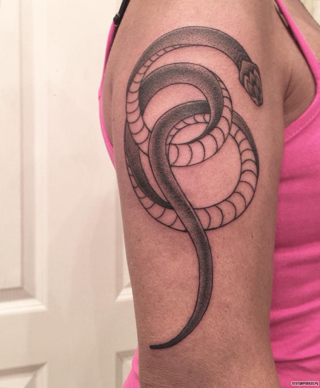Фотография татуировки под названием «Змея завивается»