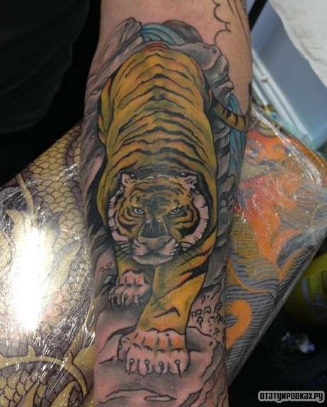 Фотография татуировки под названием «Тигр спускается»