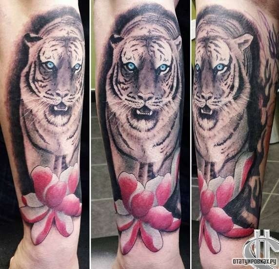 Фотография татуировки под названием «Тигр с лотосом»
