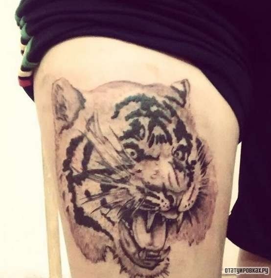 Фотография татуировки под названием «Тигр с оскалом»