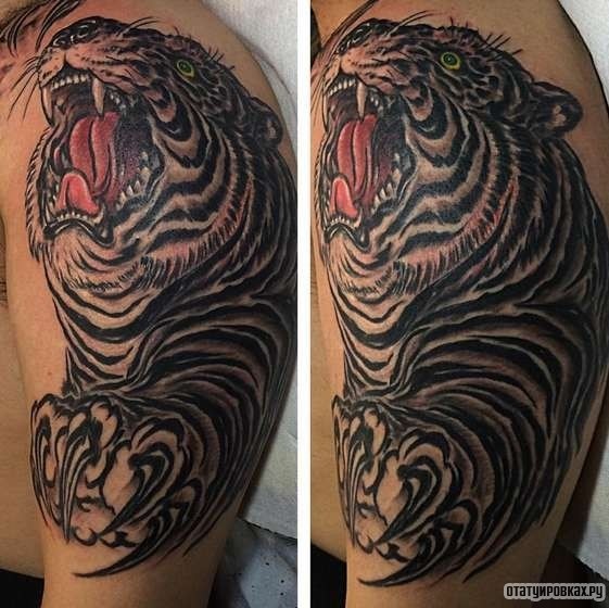 Фотография татуировки под названием «Оскал тигра с когтями»