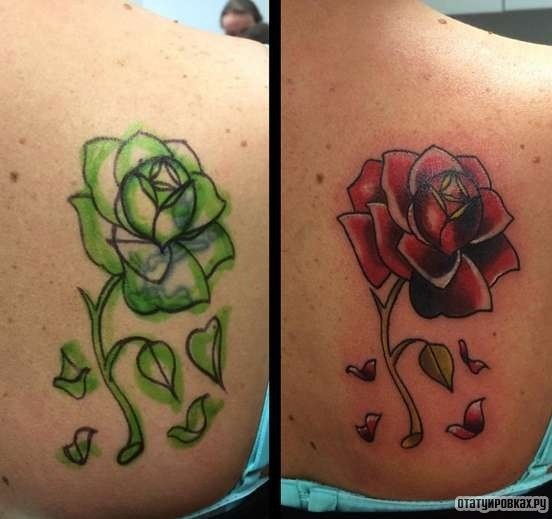 Фотография татуировки под названием «Роза красно-зеленая»