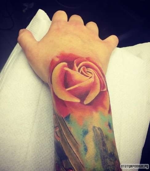 Фотография татуировки под названием «Розовая роза»