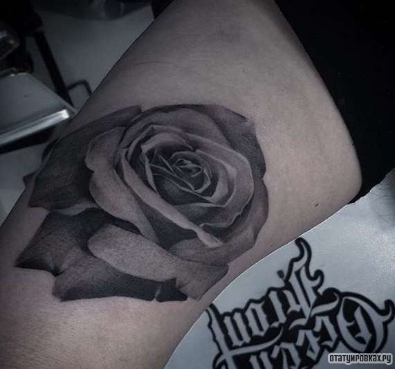 Фотография татуировки под названием «Роза в темных цветах»
