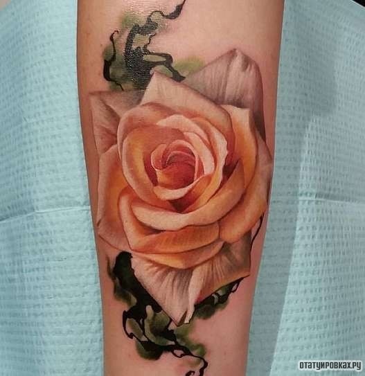 Фотография татуировки под названием «Нежные оттенки розовой розы»