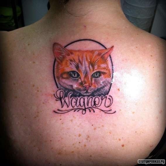 Фотография татуировки под названием «Портрет кошки на память имя wagner»