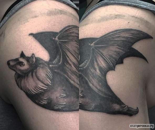 Фотография татуировки под названием «Летучая мышь в полете»