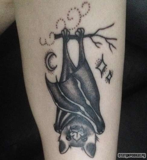 Фотография татуировки под названием «Летучая мышь кверх ногами»
