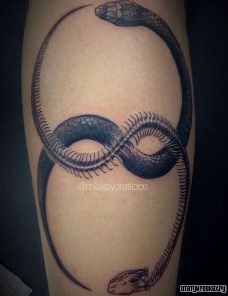 Фотография татуировки под названием «Бесконечность - змея»