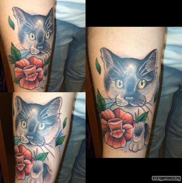 Фотография татуировки под названием «Кот с розой»