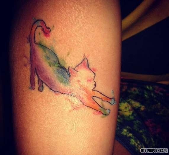 Фотография татуировки под названием «Кот потягивается»
