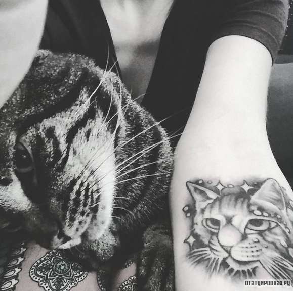 Фотография татуировки под названием «Кот со звездами»