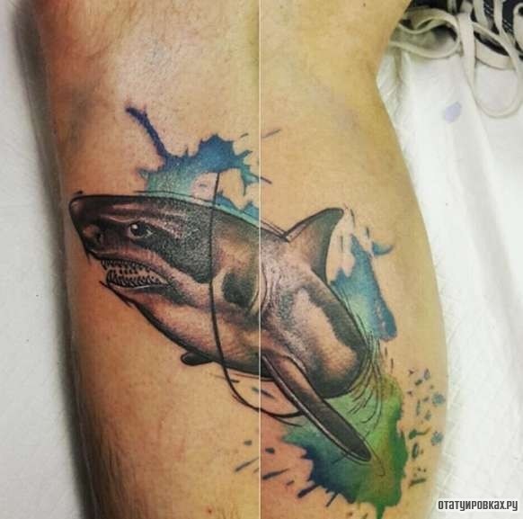 Фотография татуировки под названием «Акула из воды»