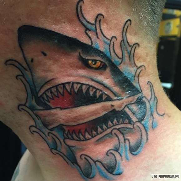 Фотография татуировки под названием «Акула в синих волнах»