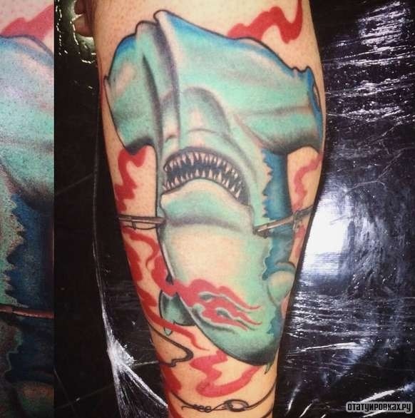 Фотография татуировки под названием «Акула-молот ив крови»