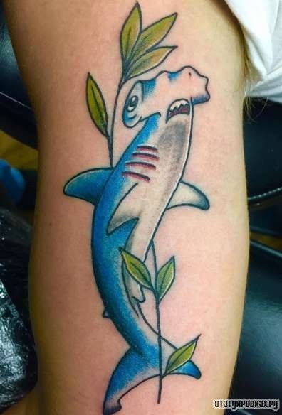 Фотография татуировки под названием «Акула-молот с зеленой веткой»