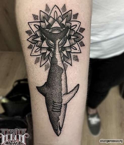 Фотография татуировки под названием «Акула с мандалой»