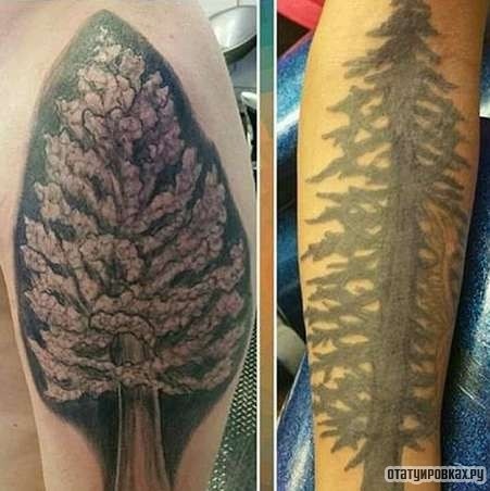 Фотография татуировки под названием «Дерево в сиреневом цвете»