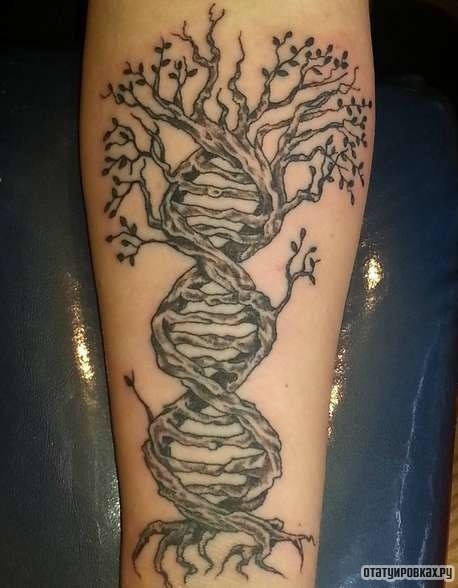 Фотография татуировки под названием «Дерево переплетается»