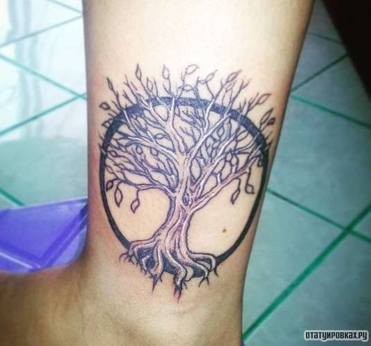 Фотография татуировки под названием «Дерево в круге»
