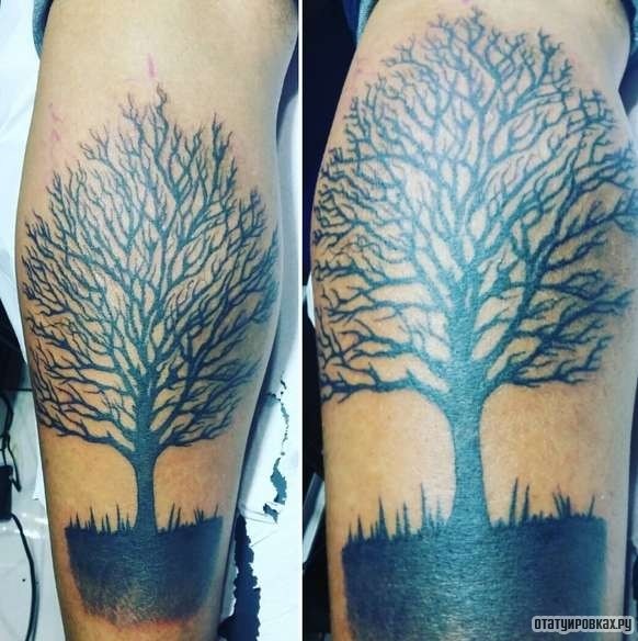 Фотография татуировки под названием «Дерево в траве»