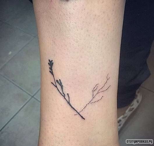 Фотография татуировки под названием «Две ветки дерева»