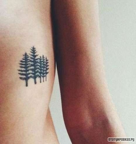 Фотография татуировки под названием «Деревья сосны»