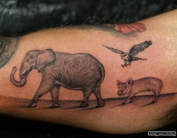 Фотография татуировки под названием «Слон, свинья, орел»