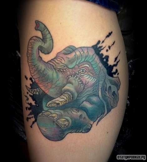 Фотография татуировки под названием «Слон в красках»