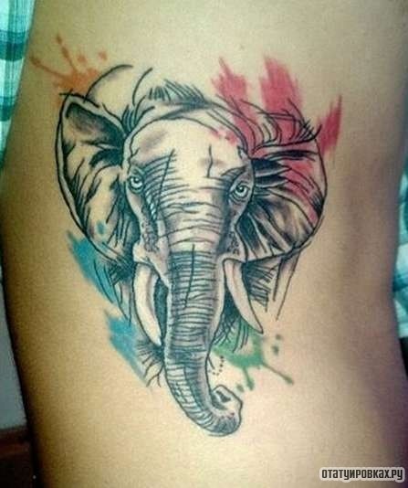 Фотография татуировки под названием «Слон и краски»