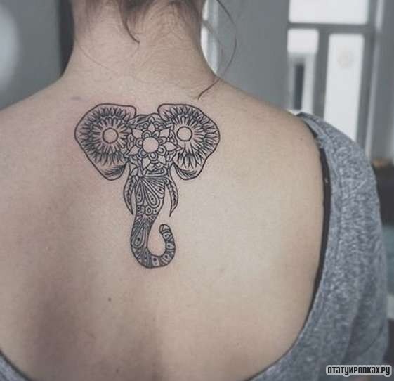 Фотография татуировки под названием «Хобот и уши слона»