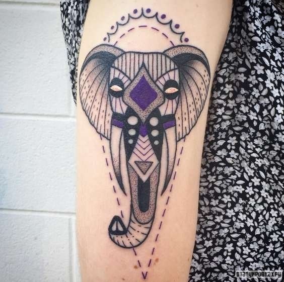 Фотография татуировки под названием «Слон с бивнями»