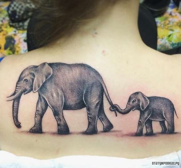 Фотография татуировки под названием «Слон со слоненком»
