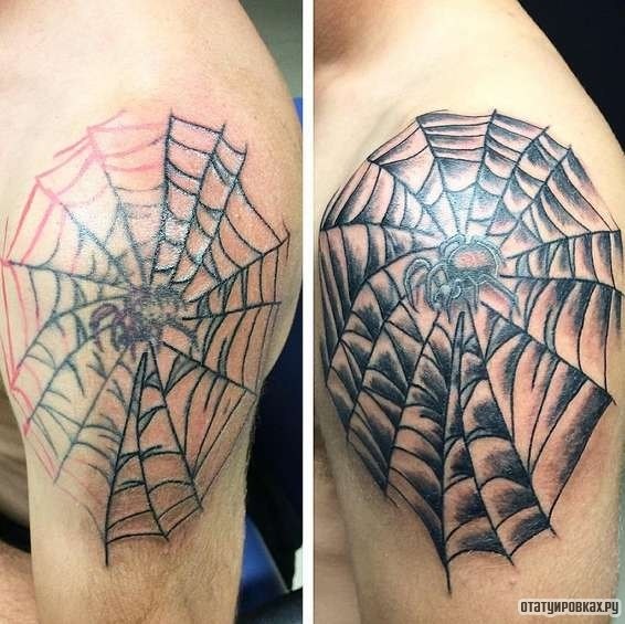 Фотография татуировки под названием «Паук в паутине»